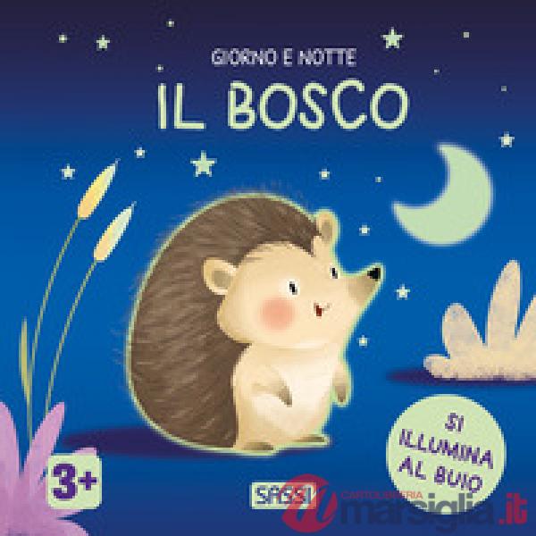 Bosco. Giorno e notte. Ediz. a colori (Il)