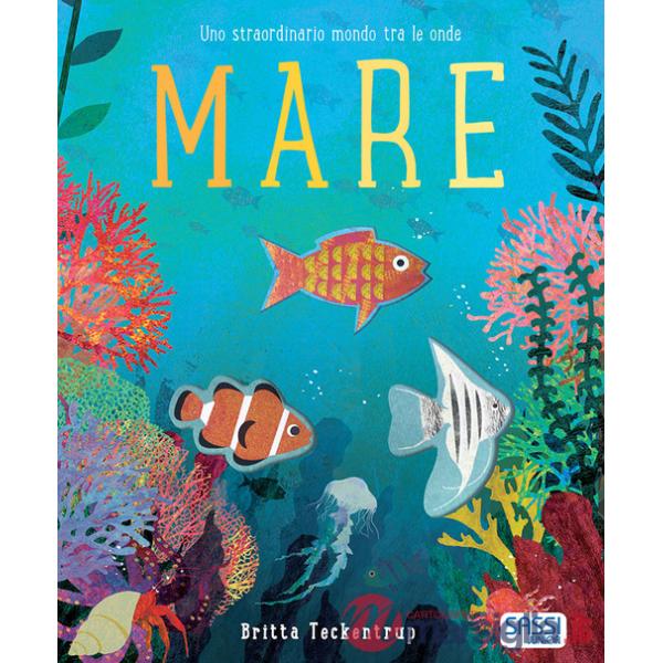 Mare. Uno straordinario mondo tra le onde. Nuova ediz.