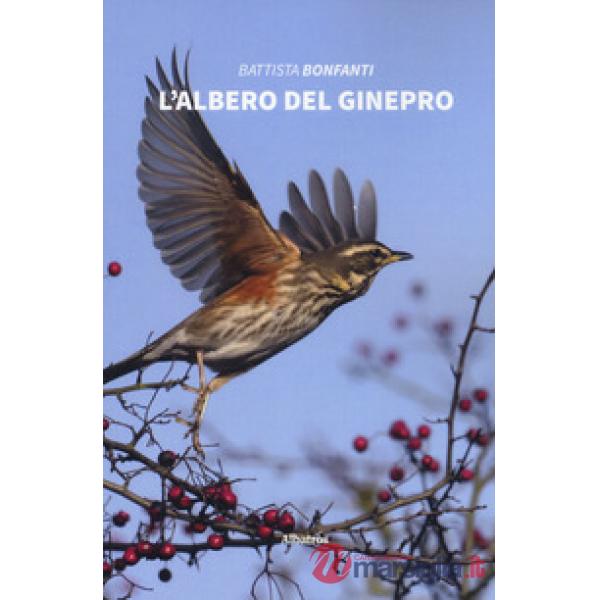 Albero del ginepro (L')