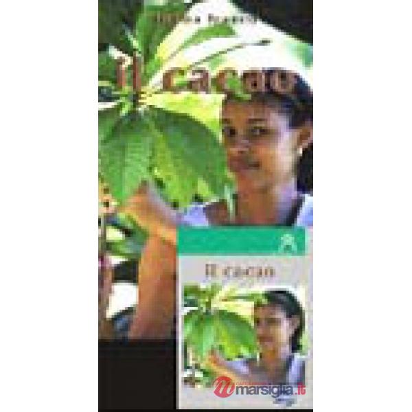 Cacao (Il)
