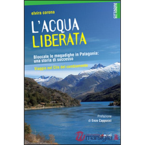 Acqua liberata. Bloccate le megadighe in Patagonia: una storia di successo. Viaggio nel Cile del cambiamento (L')