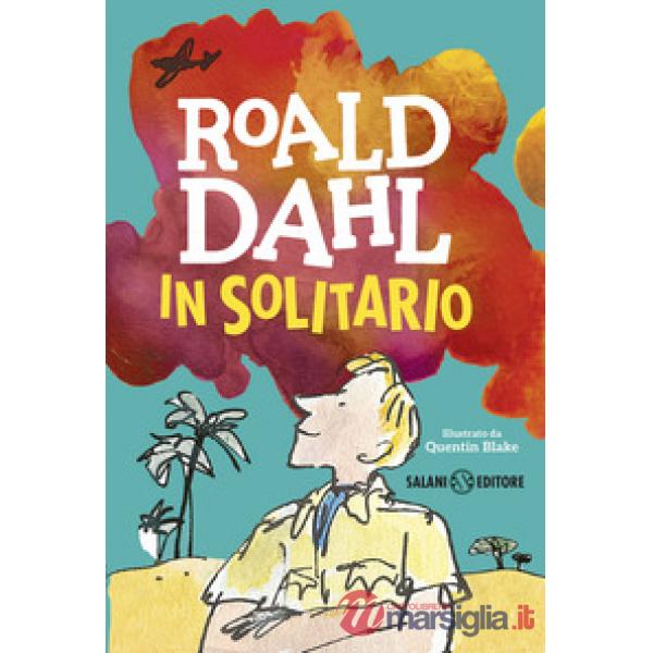 In solitario. Diario di volo