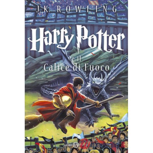 Harry Potter e il calice di fuoco
