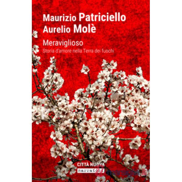 Meraviglioso. Storia d'amore nella «terra dei fuochi»