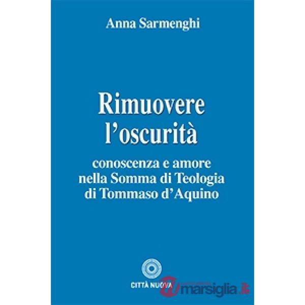 Rimuovere l'oscurità. Conoscenza e amore nella somma