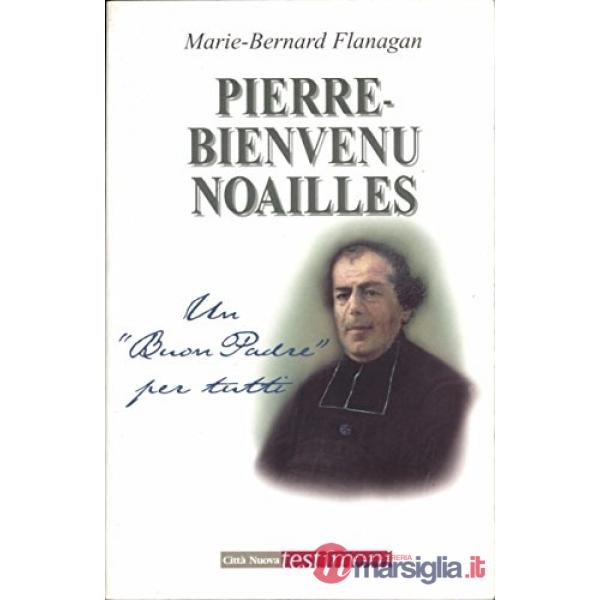 Pierre Bienvenue Noailles