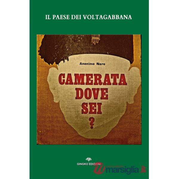 Paese dei voltagabbana. Camerata dove sei? (Il)
