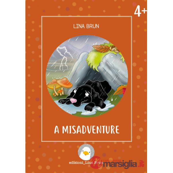 Misadventure. Ediz. illustrata (A)