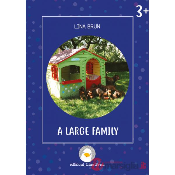 Large family. Ediz. a colori (A)