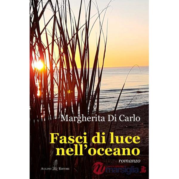 Fasci di luce nell'oceano
