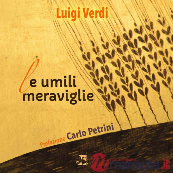 Umili meraviglie (Le)