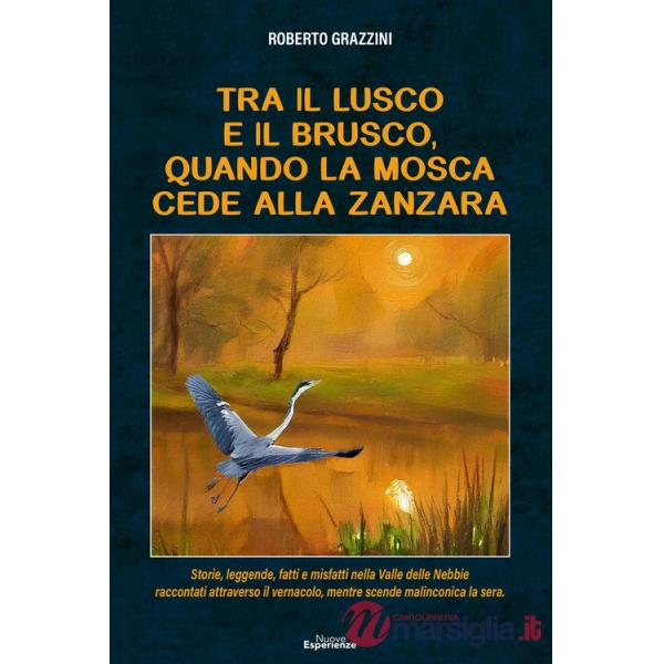 Tra il lusco e il brusco, quando la mosca cede alla zanzara. Storie, leggende, fatti e misfatti nella Valle delle Nebbie raccont