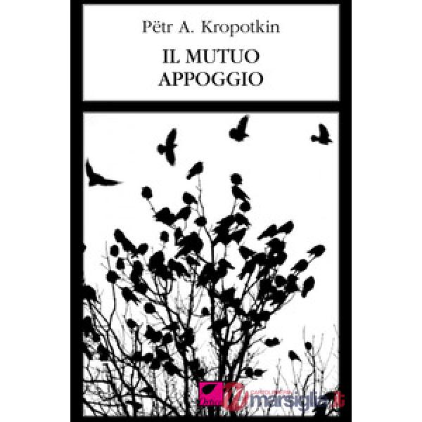 Mutuo appoggio (Il)