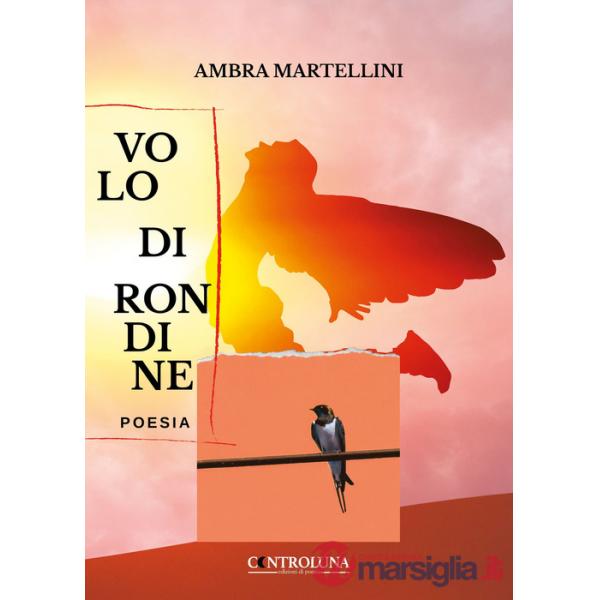 Volo di rondine