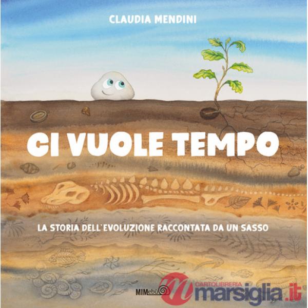 Ci vuole tempo. La storia dell'evoluzione raccontata da un sasso. Ediz. a colori