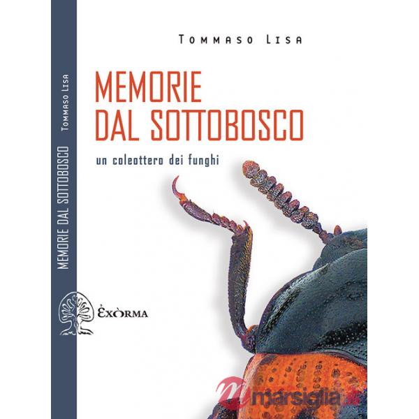 Memorie dal sottobosco. Un coleottero dei funghi