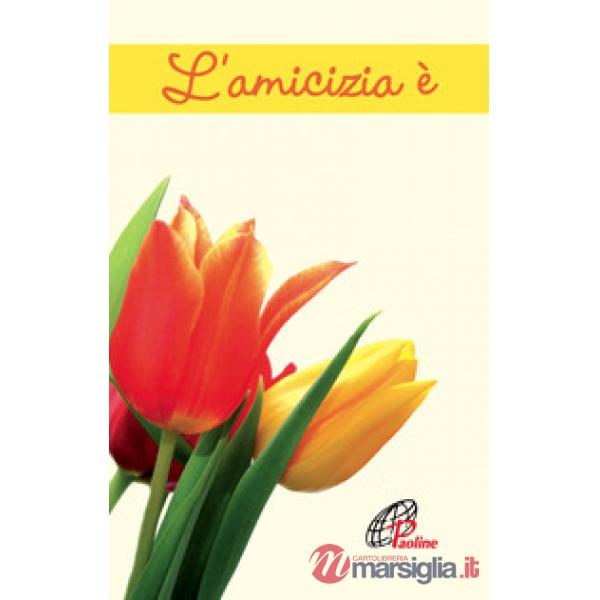 Amicizia è. Ediz. illustrata (L')