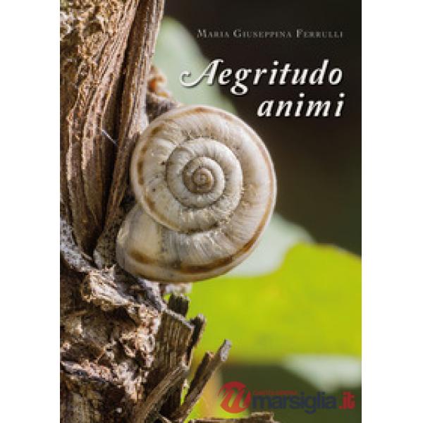 Aegritudo animi