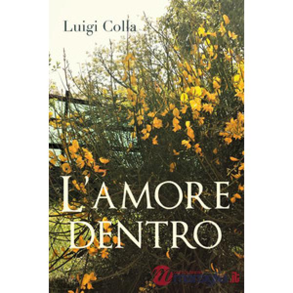 Amore dentro (L')