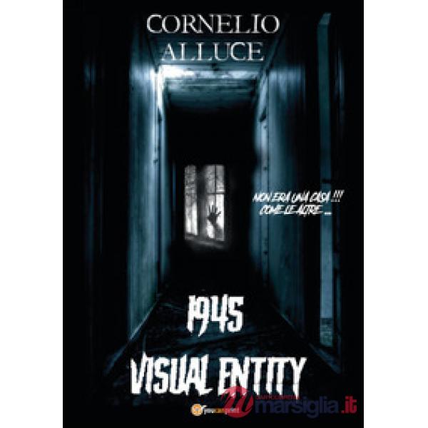1945. Visual entity