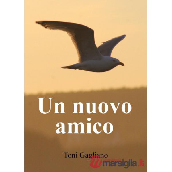 Nuovo amico (Un)