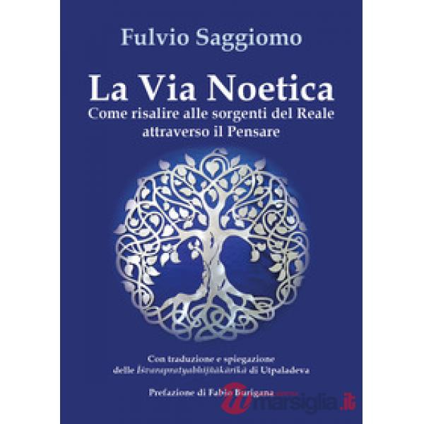 Via noetica. Come risalire alle sorgenti del reale attraverso il pensare (La)