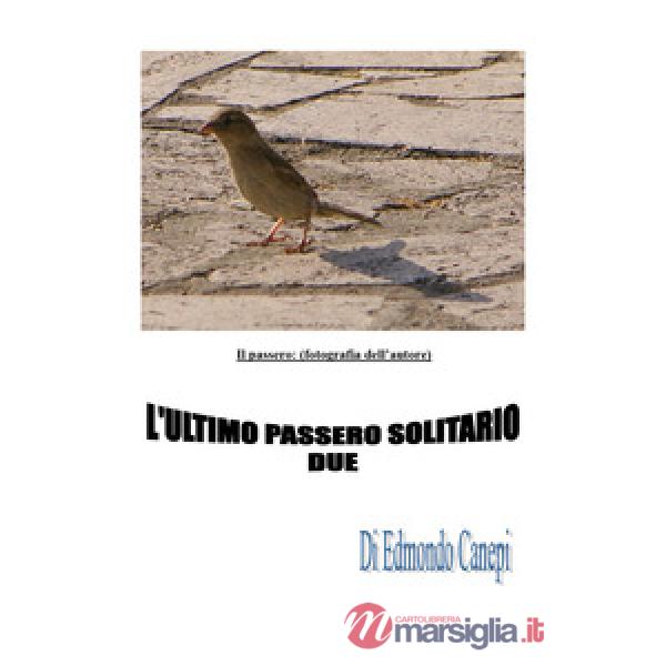 Ultimo passero solitario (L')