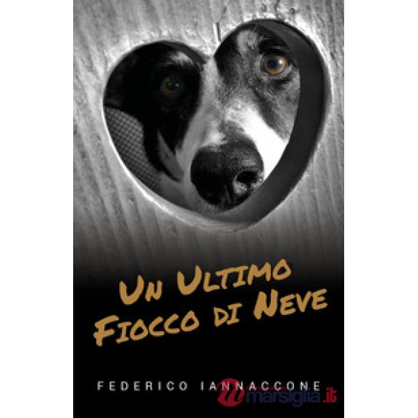 Ultimo fiocco di neve (Un)