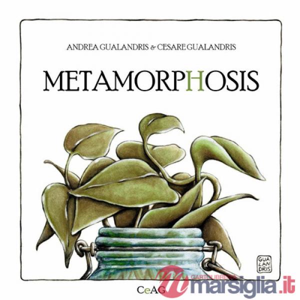 Metamorphosis