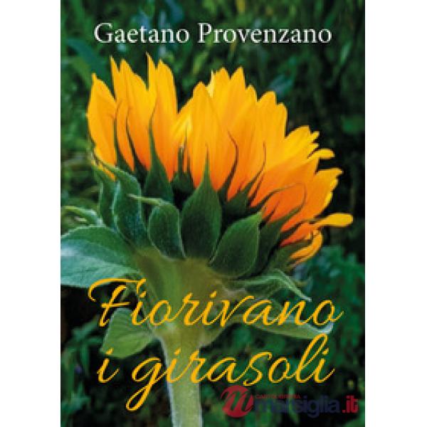 Fiorivano i girasoli