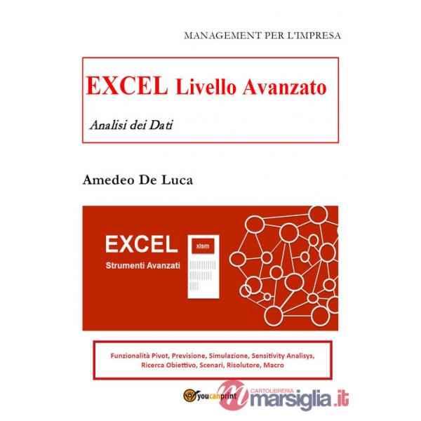 Excel. Livello avanzato. Analisi dei dati