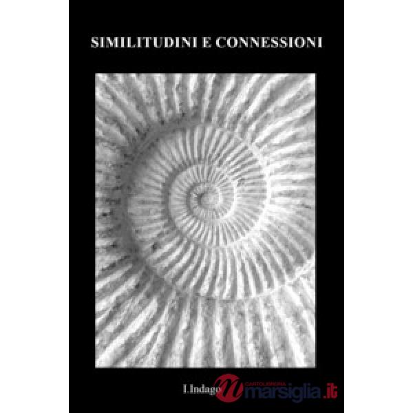 Similitudini e connessioni