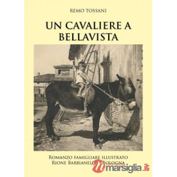 Cavaliere a Bellavista (Un)
