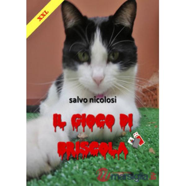 Gioco di Briscola XXL (Il)