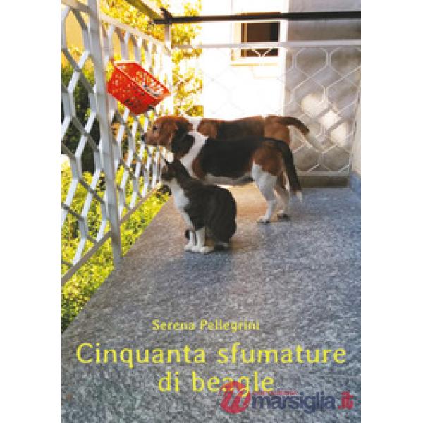 Cinquanta sfumature di beagle