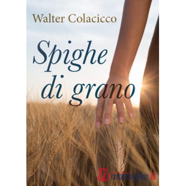 Spighe di grano