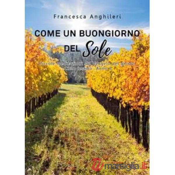Come un buongiorno del sole. Piccole meditazioni sul Vangelo del giorno. Ciclo festivo anno B