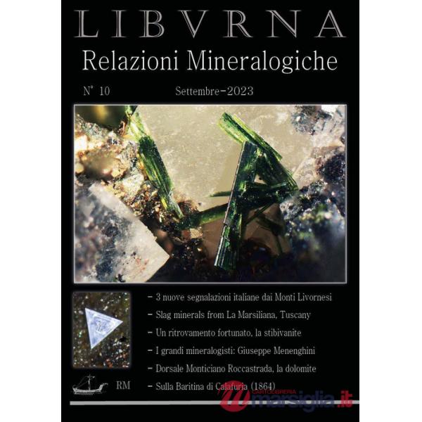 Relazioni mineralogiche. Libvrna. Vol. 10