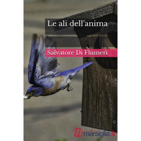 Ali dell'anima (Le)