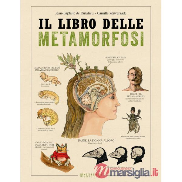 Libro delle metamorfosi (Il)