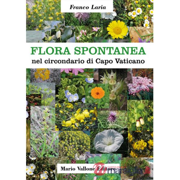 Flora spontanea nel circondario di Capo Vaticano. Ediz. illustrata