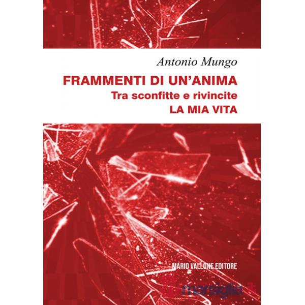 Frammenti di un'anima. Tra sconfitte e rivincite. La mia vita
