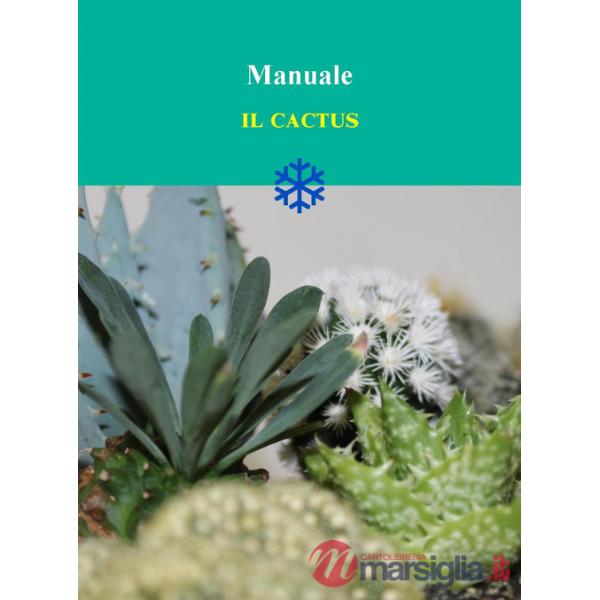 Cactus (Il)