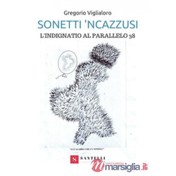 Sonetti 'ncazzusi