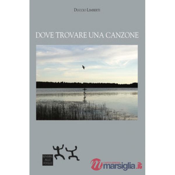Dove trovare una canzone