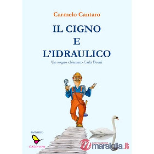 Cigno e l'Idraulico. Un sogno chiamato Carla Bruni (Il)