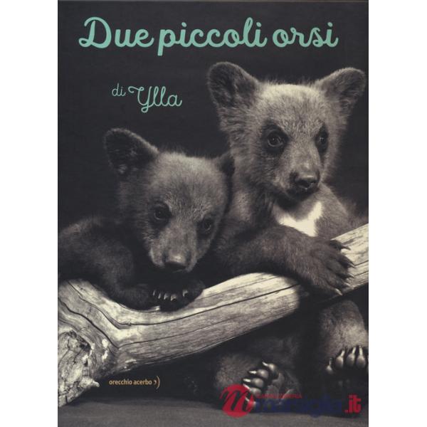 Due piccoli orsi