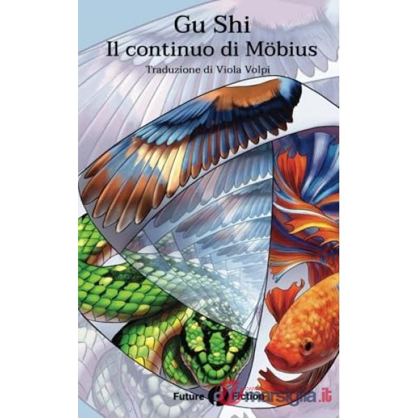 Il continuo di Möbius