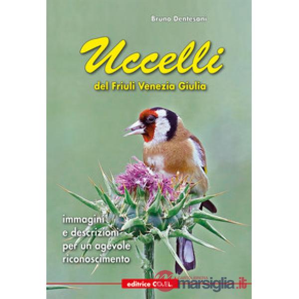 Uccelli del Friuli Venezia Giulia. Immagini e descrizioni per un agevole riconoscimento