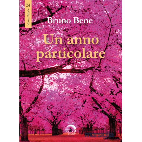 Anno particolare (Un)